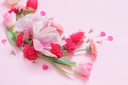 Foto de Hermosas flores de primavera sobre fondo rosa - Imagen libre de derechos