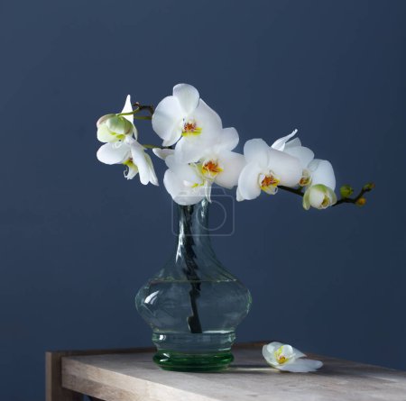 Foto de Orquídea blanca en jarrón de cristal vintage en estante de madera en la pared azul de fondo - Imagen libre de derechos