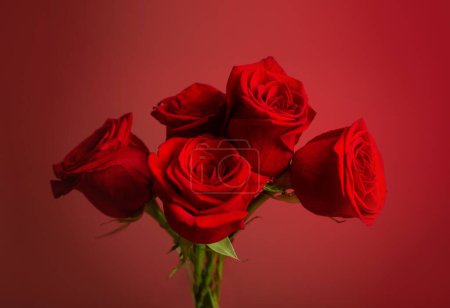 Foto de Rosas rojas sobre fondo rojo de cerca - Imagen libre de derechos