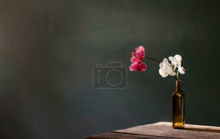 Foto de Flores de orquídea en botella sobre fondo oscuro - Imagen libre de derechos
