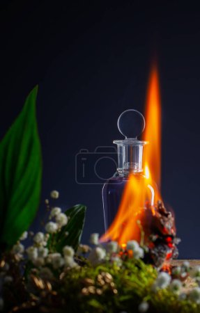 Foto de Poción mágica en botella de vidrio con fuego, plantas y flores sobre fondo azul - Imagen libre de derechos