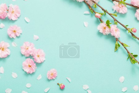 Foto de Ramas de almendras en flor sobre fondo verde - Imagen libre de derechos