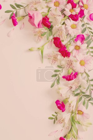Photo for Beautiful pink and white flowers on white background - Royalty Free Image