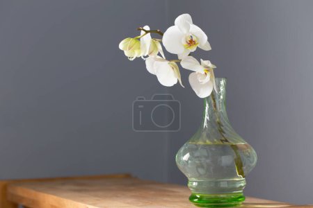 Téléchargez les photos : Orchidée blanche dans un vase en verre vintage sur une étagère en bois sur le mur de fond - en image libre de droit