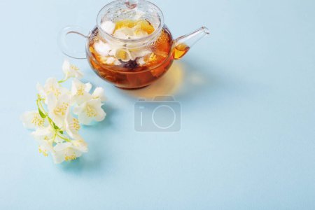 Téléchargez les photos : Thé au jasmin dans une théière en verre sur fond bleu - en image libre de droit
