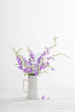 Foto de Flores de color azul en jarra blanca sobre fondo blanco - Imagen libre de derechos