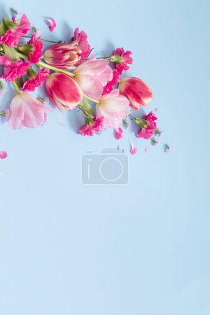 Foto de Hermosas flores de primavera sobre fondo azul - Imagen libre de derechos