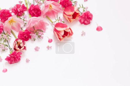 Photo for Beautiful spring flowers on white  background - Royalty Free Image