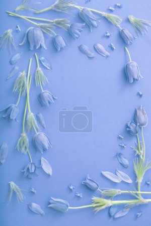 Téléchargez les photos : Fleurs de printemps sur fond de papier bleu - en image libre de droit