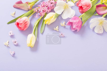 Photo for Multicolored spring flowers on  purple background - Royalty Free Image