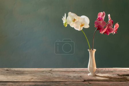 Photo for Orchid flowers in vase on blue background - Royalty Free Image