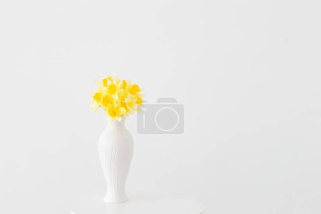 Téléchargez les photos : Fleurs jaunes de printemps dans un vase blanc sur fond blanc - en image libre de droit