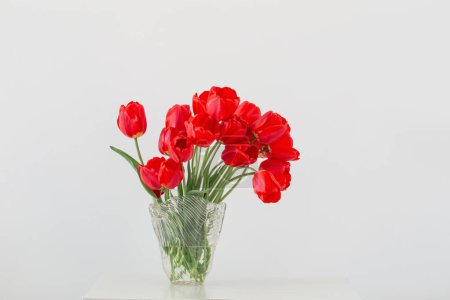 Foto de Tulipanes rojos en jarrón de vidrio sobre fondo pared blanca - Imagen libre de derechos