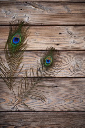 Photo for Peacock feather on old wooden background - Royalty Free Image