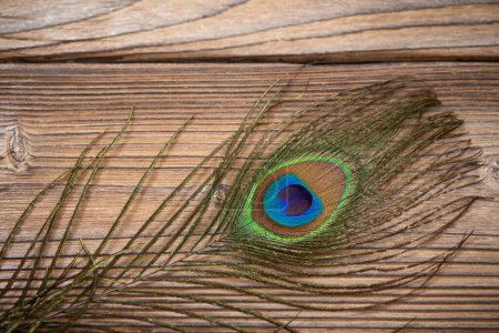 Foto de Pluma de pavo real sobre fondo de madera viejo - Imagen libre de derechos