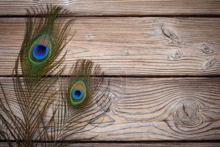 Photo for Peacock feather on old wooden background - Royalty Free Image