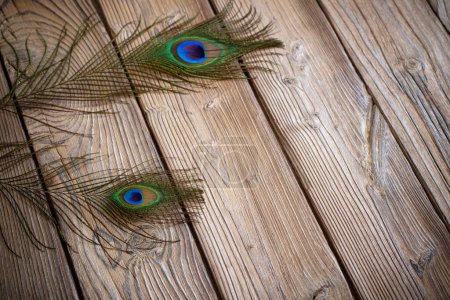 Téléchargez les photos : Plume de paon sur vieux fond en bois - en image libre de droit