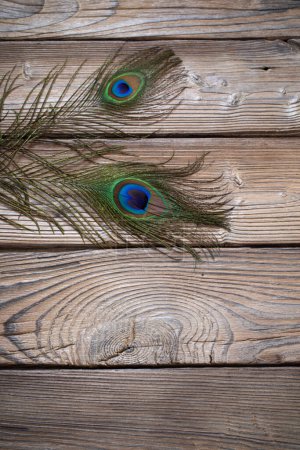 Foto de Pluma de pavo real sobre fondo de madera viejo - Imagen libre de derechos
