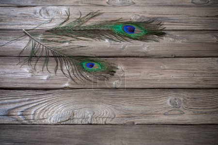 Téléchargez les photos : Plume de paon sur vieux fond en bois - en image libre de droit