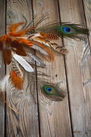 Photo for Color feathers on old wooden background - Royalty Free Image