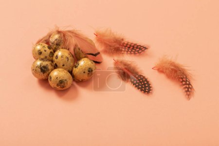 Photo for Easter golden quail eggs on pastel background - Royalty Free Image