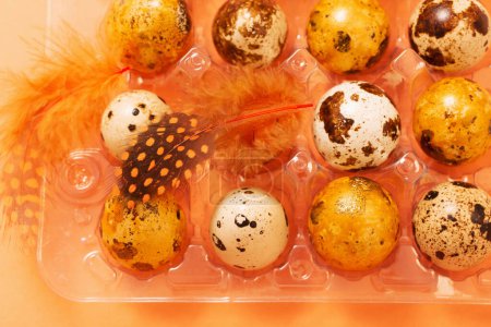 Foto de Pascua g huevos de codorniz en recipiente de plástico sobre fondo pastel - Imagen libre de derechos
