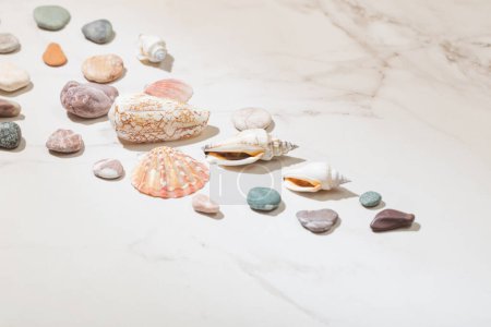 Foto de Piedras marinas y conchas marinas sobre fondo de mármol blanco - Imagen libre de derechos