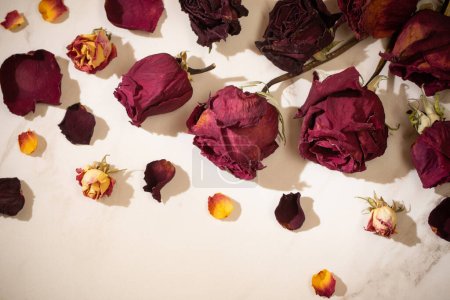 Foto de Rosas rojas secas sobre fondo de mármol - Imagen libre de derechos