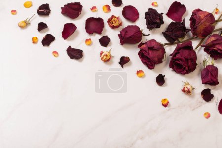 Photo for Dried red  roses on marble background - Royalty Free Image