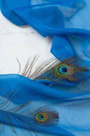 Photo for Two peacocks feather on blue cloth and white marble - Royalty Free Image