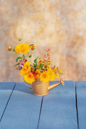 Foto de Flores de crisantemo en regadera dorada sobre fondo pared vieja a la luz del sol - Imagen libre de derechos