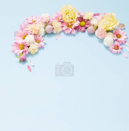 Photo for Beautiful flowers on blue background - Royalty Free Image