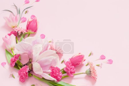 Téléchargez les photos : Belles fleurs printanières sur fond rose - en image libre de droit