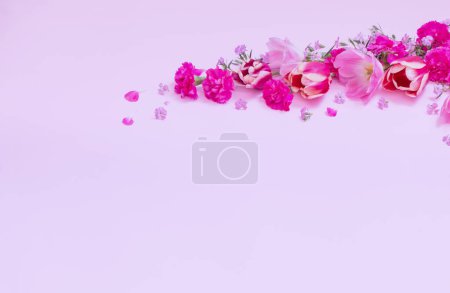 Photo for Beautiful spring flowers on purple  background - Royalty Free Image