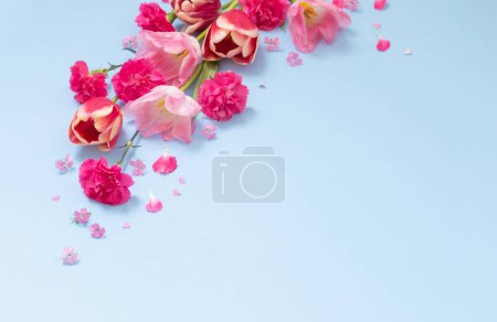Photo for Beautiful spring flowers on blue  background - Royalty Free Image