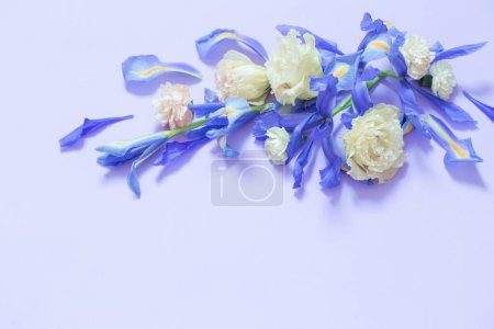 Foto de Hermosas flores de primavera sobre fondo púrpura - Imagen libre de derechos