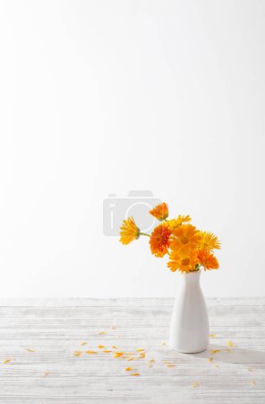 Téléchargez les photos : Souci orange en vase blanc sur fond blanc - en image libre de droit