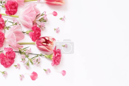 Beautiful spring flowers on white  background