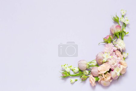 Téléchargez les photos : Belles fleurs printanières sur fond violet - en image libre de droit
