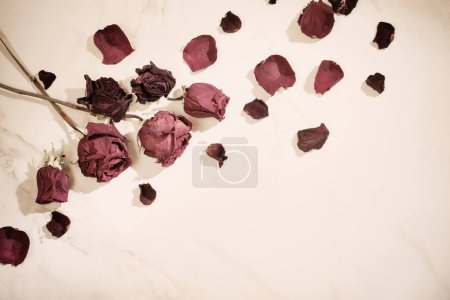 Téléchargez les photos : Roses rouges séchées sur fond de marbre - en image libre de droit