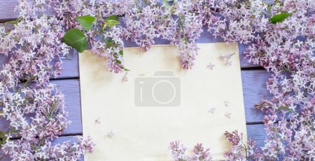 Téléchargez les photos : Fleurs lilas avec vieille feuille sur fond violet en bois - en image libre de droit
