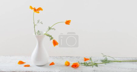 orange eschscholzia  in white vase