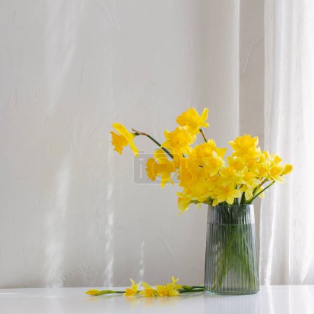 Téléchargez les photos : Jonquilles jaunes printemps dans un vase en verre sur fond blanc - en image libre de droit