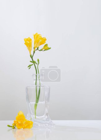 Téléchargez les photos : Freesia jaune dans un vase en verre sur fond blanc - en image libre de droit
