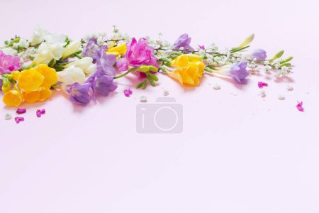 Téléchargez les photos : Fleurs de printemps sur fond rose pastel - en image libre de droit