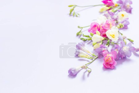 Téléchargez les photos : Fleurs roses, blanches et violettes sur fond violet clair - en image libre de droit