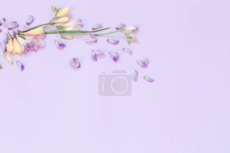 Téléchargez les photos : Fleurs de glycine et freesia sur fond violet - en image libre de droit