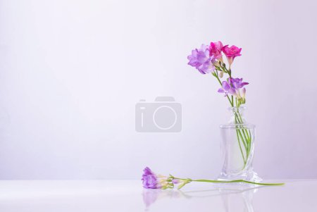 Téléchargez les photos : Freesia rose et violet dans un vase en verre sur fond blanc - en image libre de droit