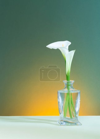 Téléchargez les photos : Belles fleurs blanches dans un vase en verre sur fond vert - en image libre de droit
