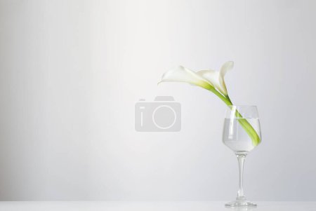 Téléchargez les photos : Fleurs de calla en verre sur fond blanc - en image libre de droit
